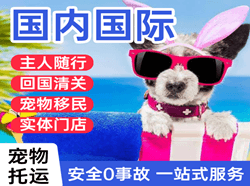 萧山空运公司国际宠物托运 【国